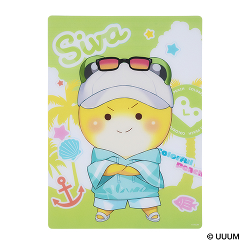 下敷き　F-11 シヴァ