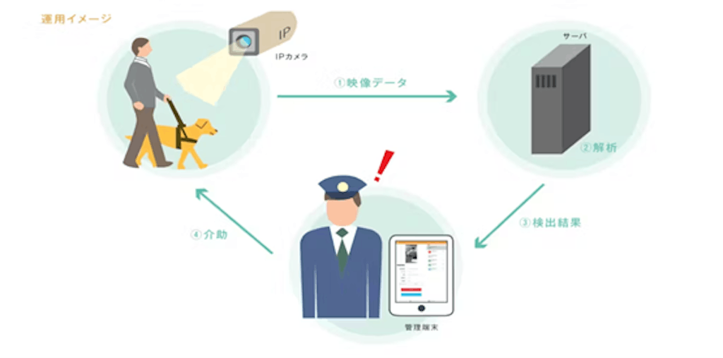 画像8