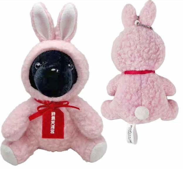 さだまさしカウントダウン in 国技館 会場限定販売＆新商品のお知らせ