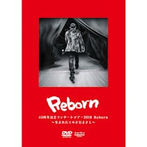 7694 W1000 Vibl 947 8 Rgb