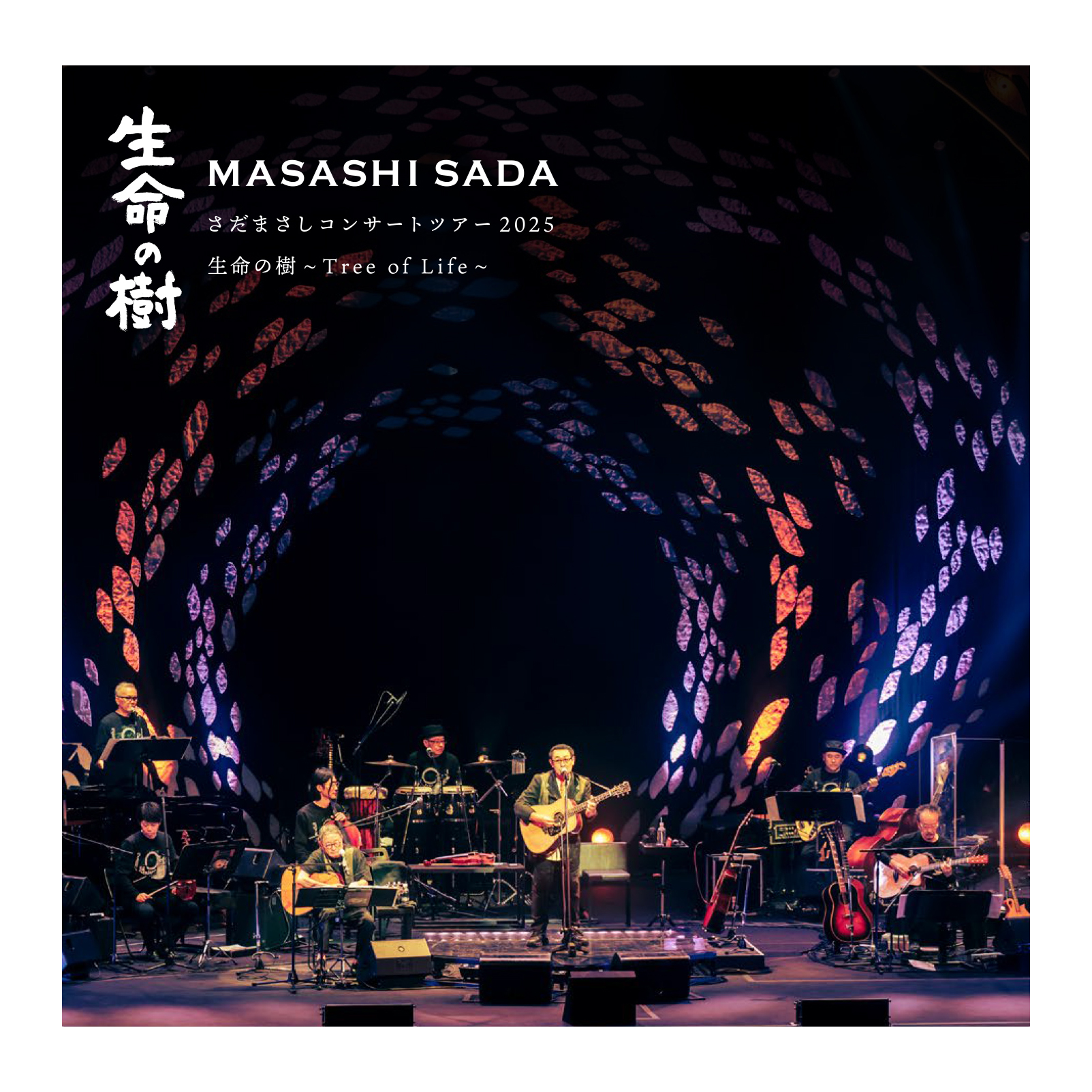 ジャケ写 Live「生命の樹」cd 余白