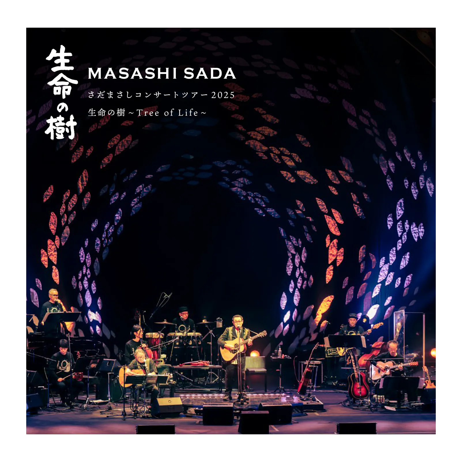ジャケ写 Live「生命の樹」cd 余白