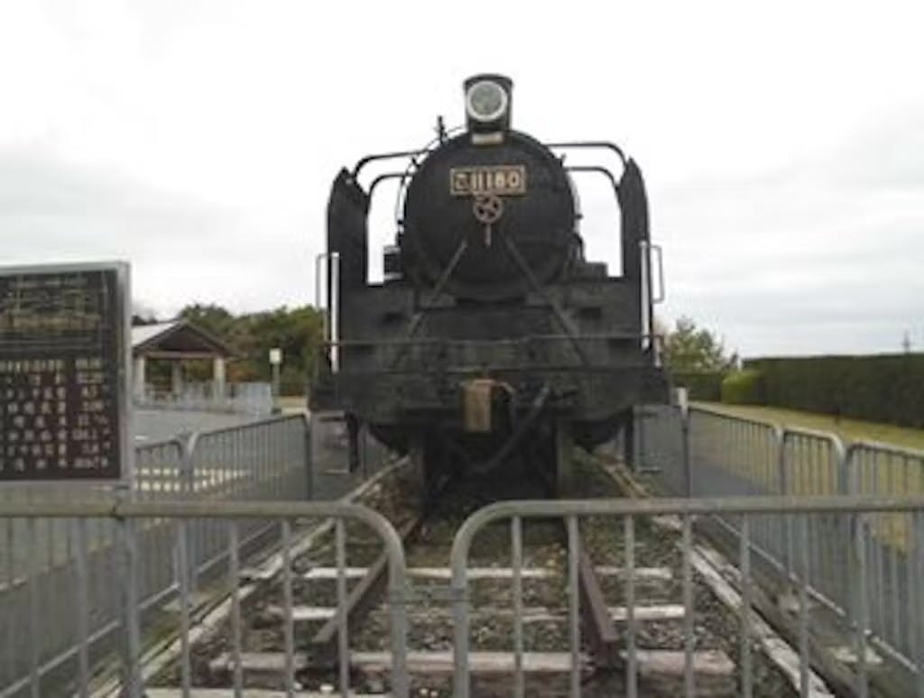 Pic 11